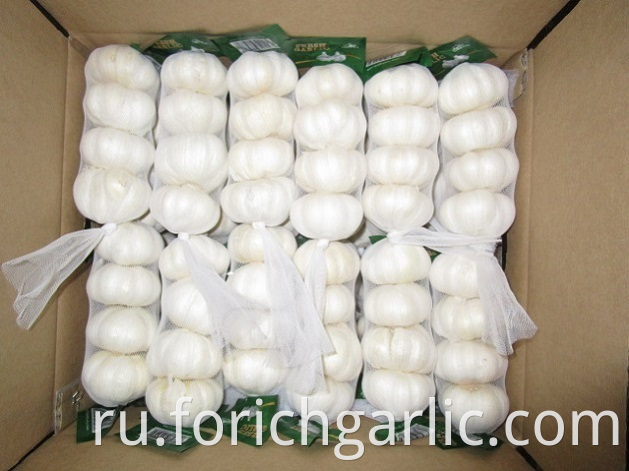 Pure White Garlic